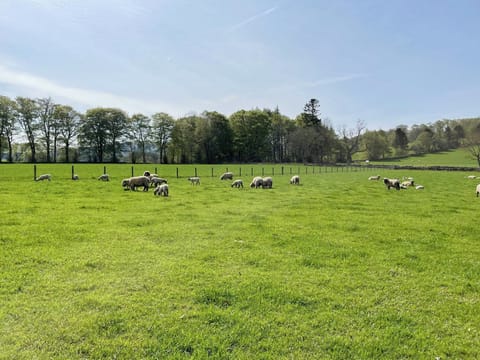 Setting | Longcroft Cottage, Oyne, near Insch