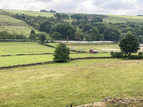 Surrounding area | The Dairy, Delph, Saddleworth