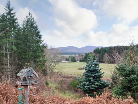 Great rural views | Park Lodge - Birchland, Strachan, near Banchory