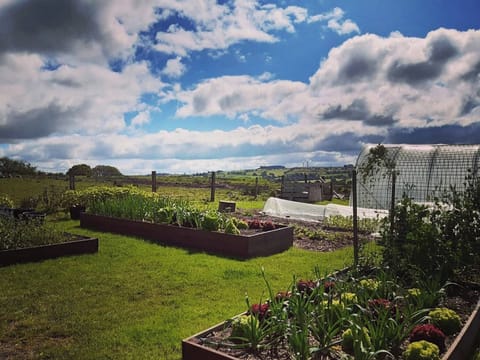 Garden and grounds | Old Barn Farmhouse - Old Barn Farm, Uplawmoor, near Paisley