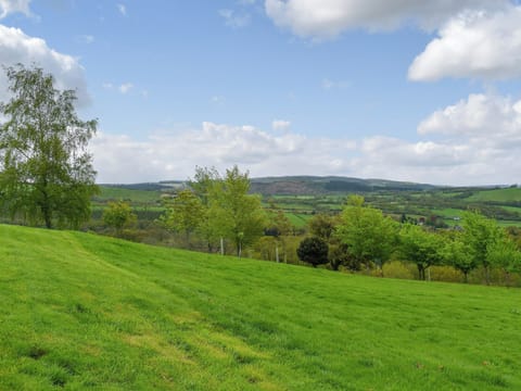 Garden and grounds | Field View, Cynghordy, near Llandovery
