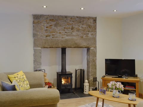 Cosy living room with wood burner | River Cottage, Bladnoch near Wigtown