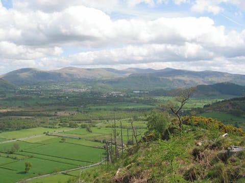 The Larches, Seldom Seen near Thornthwaite