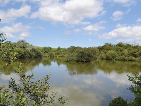 Garden and grounds | Little Owl Lodge, St Columb, nr. Padstow