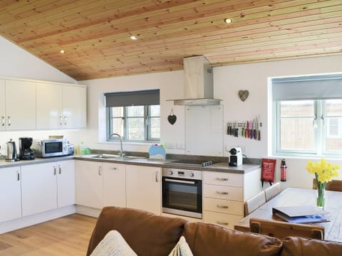 Open plan living/dining room/kitchen | Little Owl Lodge, St Columb, nr. Padstow