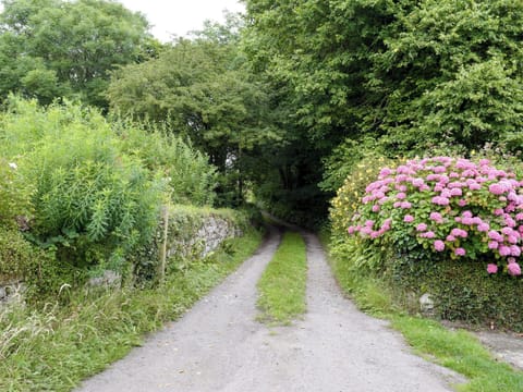 Driveway | Popehill Farm Apartment, Popehill, near Johnston