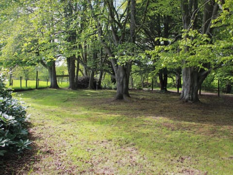Wooded garden area | Foresters Cottage, Tarbat, Invergordon