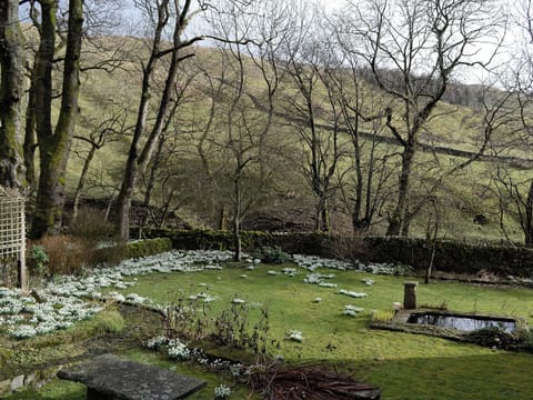 Snowdrops in the garden | Angram Farmhouse, Halton Gill near Litton