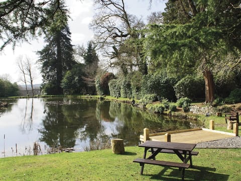 View from Rosecraddoc Manor | Nr. Liskeard