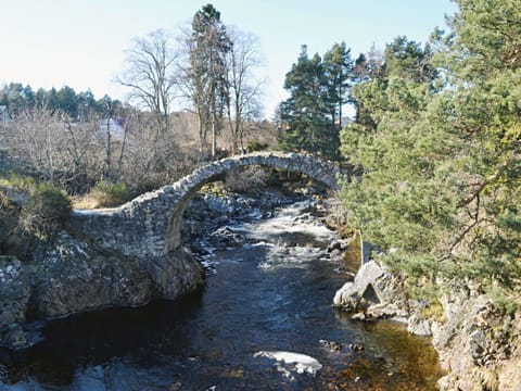 Dulnain River | Rowan Cottage, Carrbridge