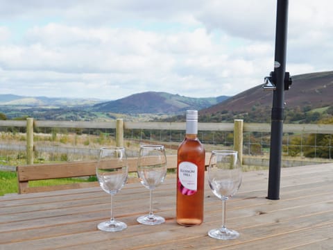 Sitting-out-area | Gorsddu, near Llanwrthwl, Powys