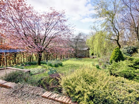 Garden | The Cottage, Girvan