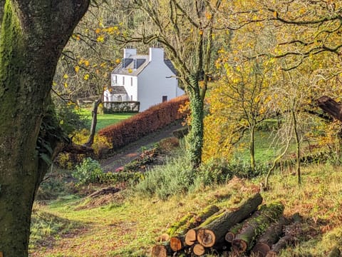 Little Boreland seen from the private woodland | Little Boreland, Gatehouse of Fleet