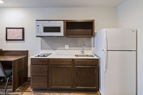 Full-size fridge, microwave, stovetop