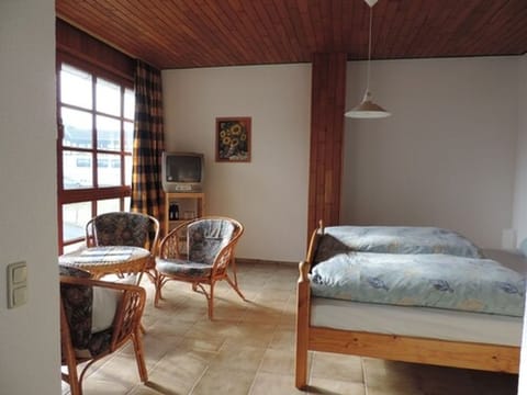 Business Double or Twin Room, Mountain View | Premium bedding, down comforters, soundproofing, free WiFi