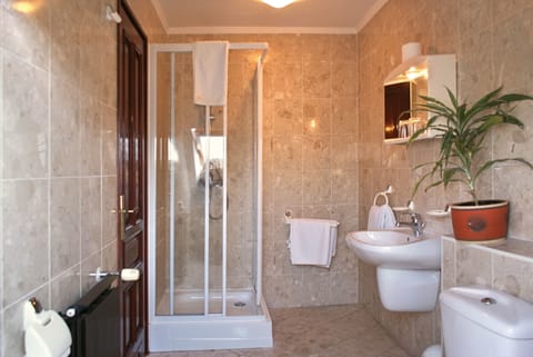 Double Room | Bathroom | Shower, free toiletries, hair dryer, towels