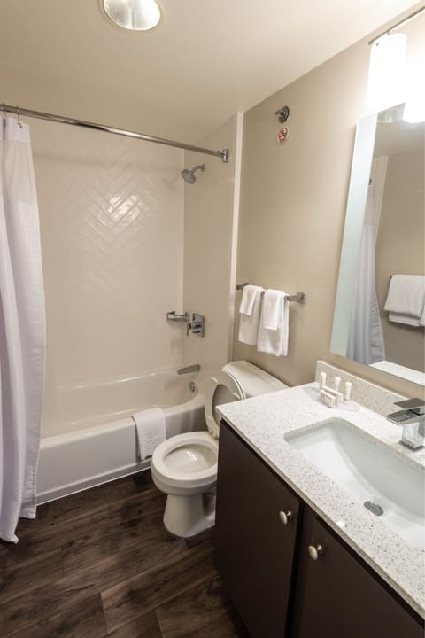 Combined shower/tub, free toiletries, hair dryer, towels