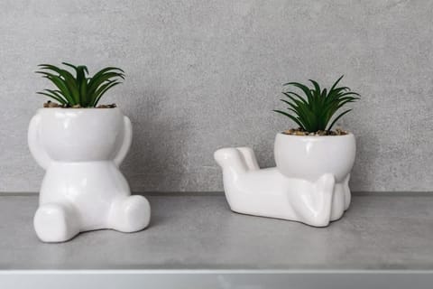 Two decorative potted plants sitting on a white shelf, adding a minimalist and natural accent to the space.