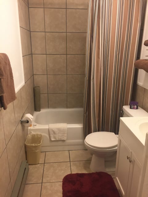 Combined shower/tub, free toiletries, hair dryer, towels