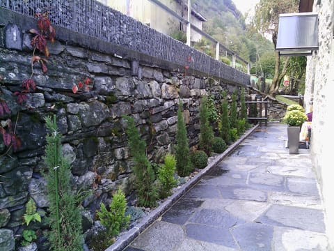 Garden at Entrance Door