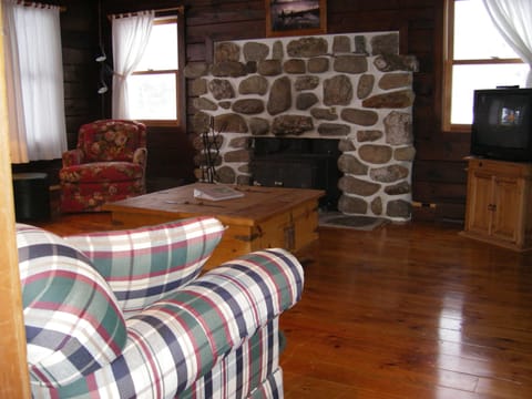 Basic Cabin, Multiple Beds, Mountain View | Living room