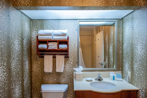 Combined shower/tub, eco-friendly toiletries, hair dryer, towels