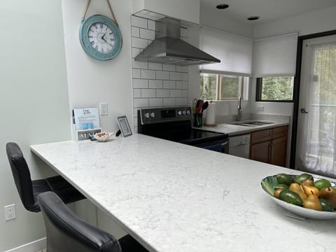 Large quartz counter can be used as a workspace or breakfast area.