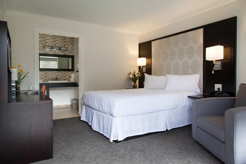 Deluxe Queen Room - Not Park n Fly | Minibar, desk, blackout drapes, iron/ironing board