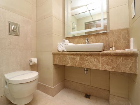 Deluxe Room, 1 Double Bed, Non Smoking, City View | Bathroom | Shower, hair dryer, bathrobes