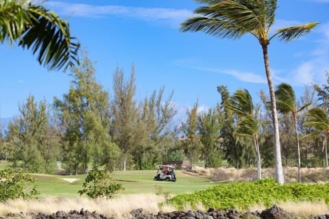 Golfers enjoying a sunny round on a beautiful , palm lined course.
