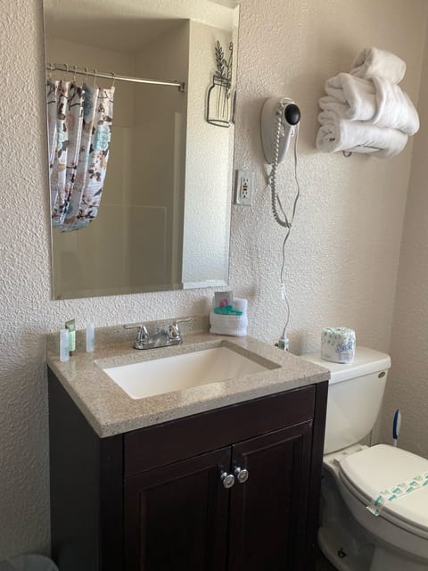 Basic Single Room | Bathroom | Combined shower/tub, free toiletries, hair dryer, towels