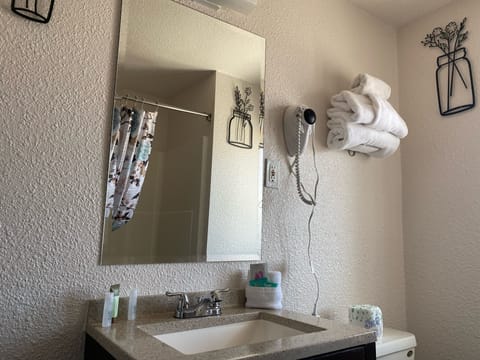 Combined shower/tub, free toiletries, hair dryer, towels