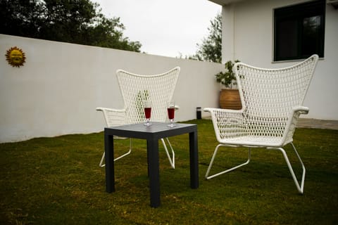 THE YARD WITH THE GRASS