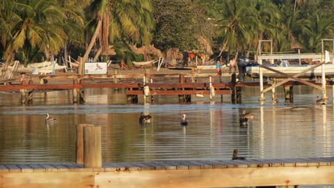 Looking from dock towards restaurants and bars