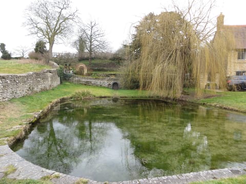 Village pond