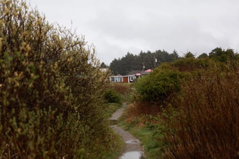 The view taken from the beach, looking back at the cottage.