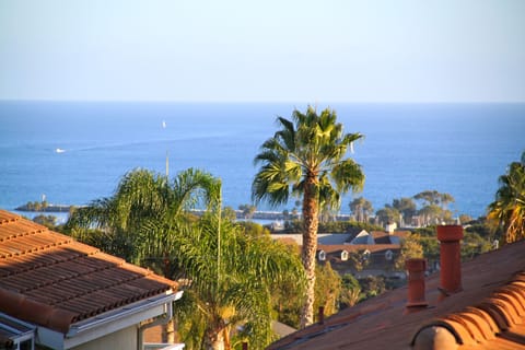 Ocean and Harbor Views!