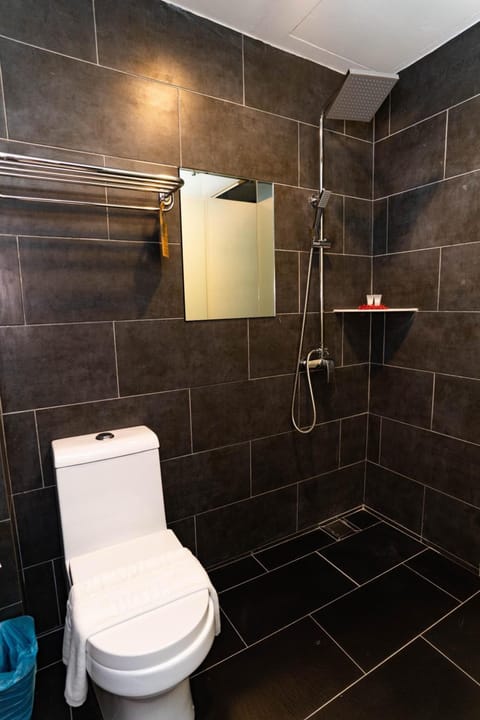 Shower, free toiletries, hair dryer, bidet