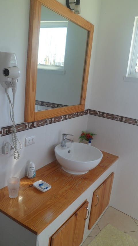 Standard Apartment, 1 Bedroom, Garden View | Bathroom | Shower, free toiletries, hair dryer, towels