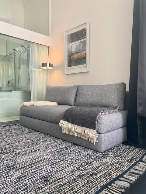 Flat-screen TV, Netflix, iPod dock