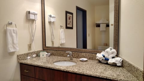 Suite, 1 Queen Bed, Non Smoking, Refrigerator & Microwave | Bathroom | Free toiletries, hair dryer, towels, soap