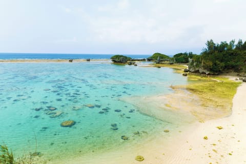 Beach nearby, white sand