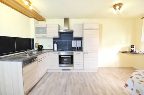 Classic Apartment, 2 Bedrooms, Terrace, Garden View | Private kitchen | Fridge, oven, stovetop, dishwasher