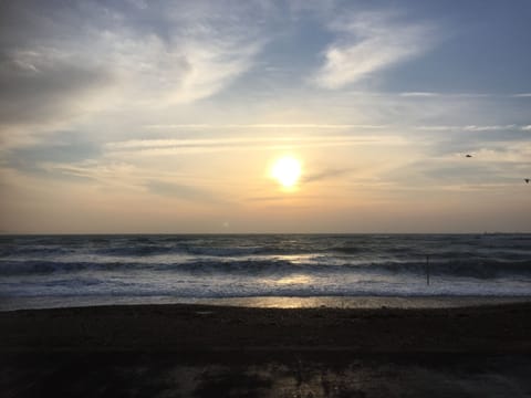 On the beach