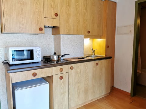 Basic Apartment, 1 Bedroom | Private kitchenette | Fridge, stovetop, electric kettle, cookware/dishes/utensils