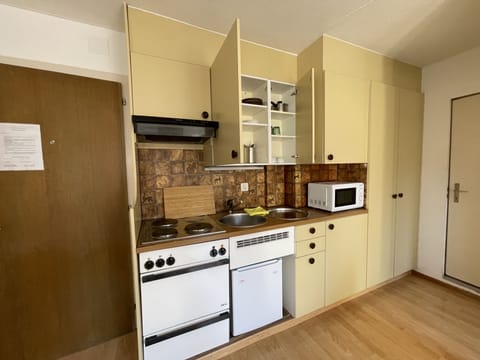 Family Apartment, Multiple Beds, City View (add. final cleaning fee CHF 15) | Private kitchenette | Fridge, stovetop, electric kettle, cookware/dishes/utensils