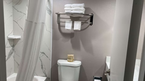 Combined shower/tub, hair dryer, towels