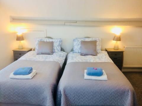 Twin Room, Private Bathroom | Iron/ironing board, free WiFi, bed sheets