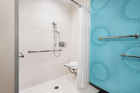 Room, 1 King Bed, Accessible (Hearing, Roll-In Shower) | Bathroom shower