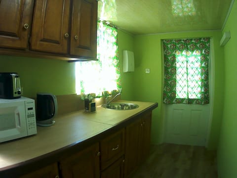 Apartment, 1 Bedroom (Amethyst) | Private kitchen | Fridge, microwave, stovetop, electric kettle